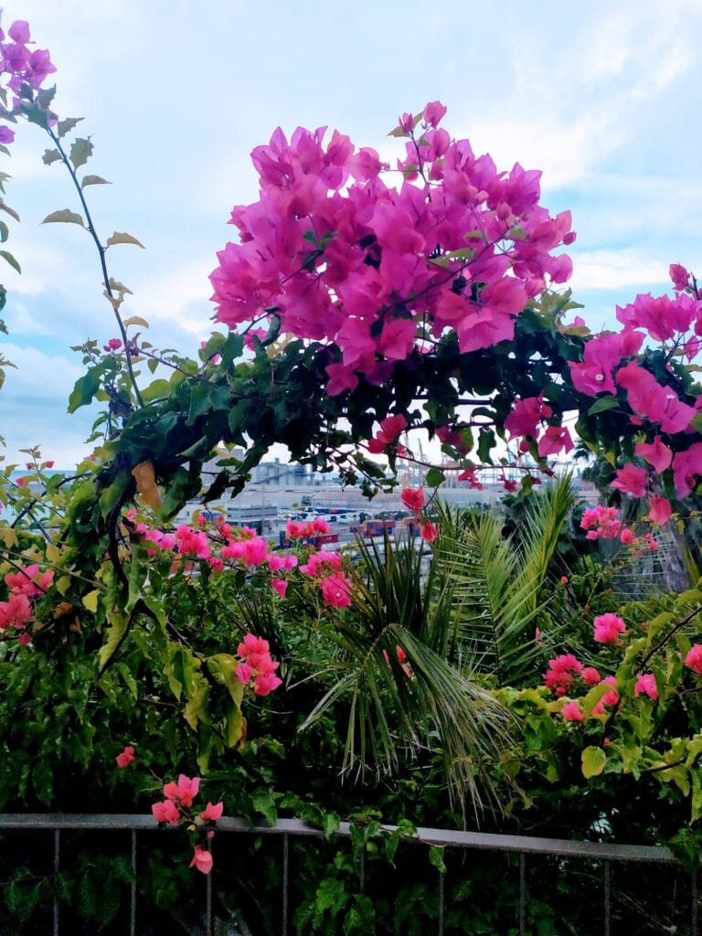 лучшие смотровые площадки в Барселоне