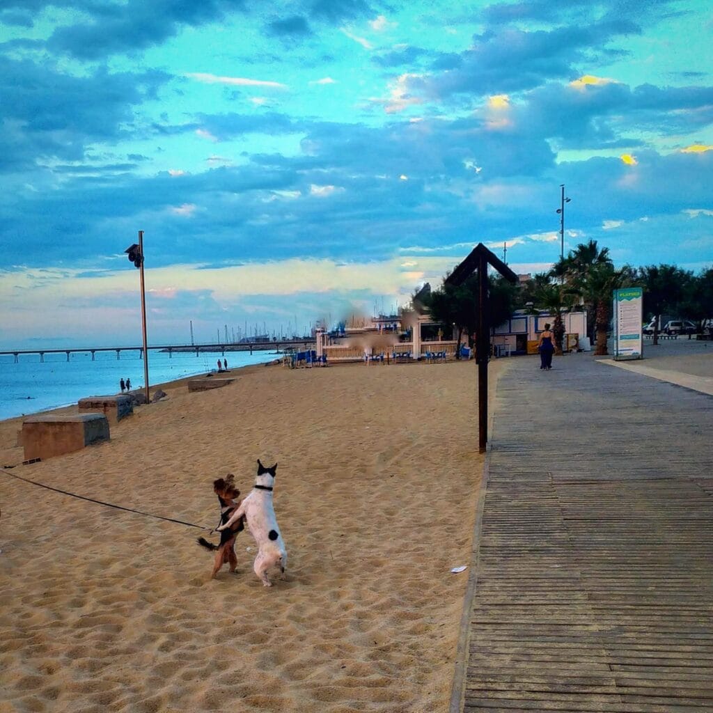 отдых в Барселоне