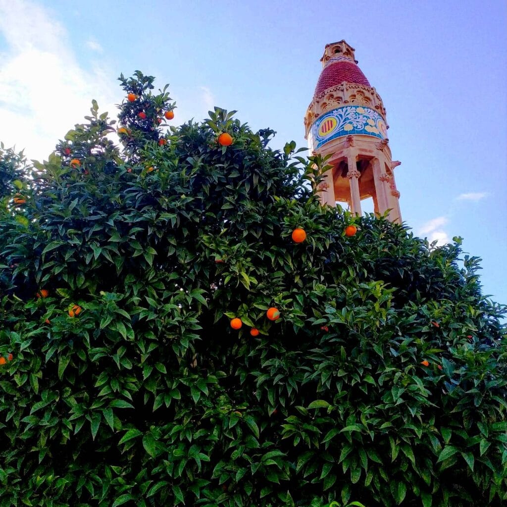 Больница Креста и Павла Больница Креста и Павла